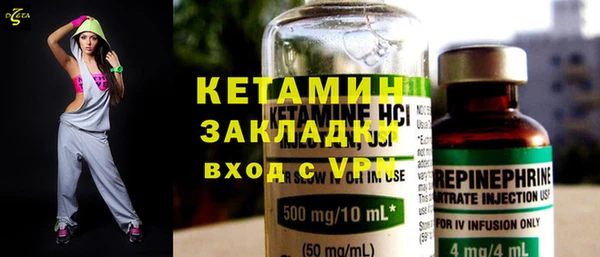 шишки Няндома