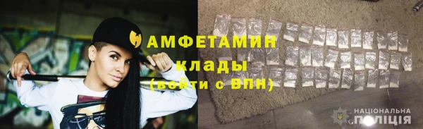индика Нязепетровск