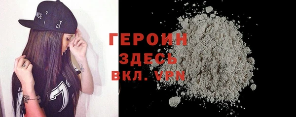 шишки Няндома