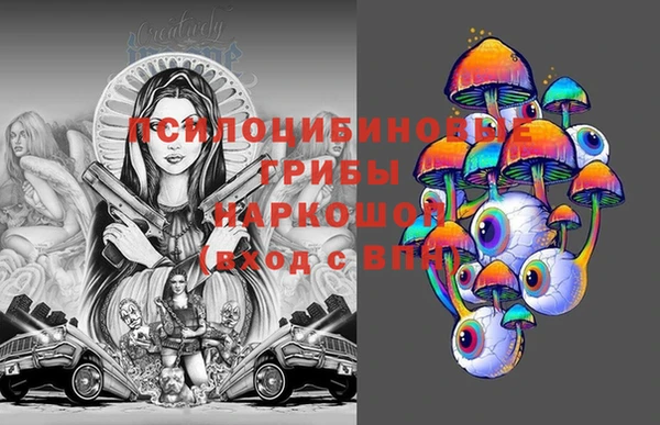 шишки Няндома