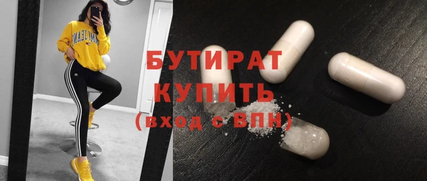 шишки Няндома