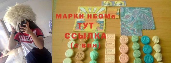 индика Нязепетровск