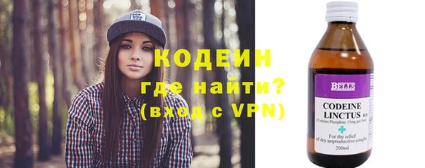 шишки Няндома