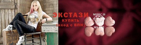 шишки Няндома