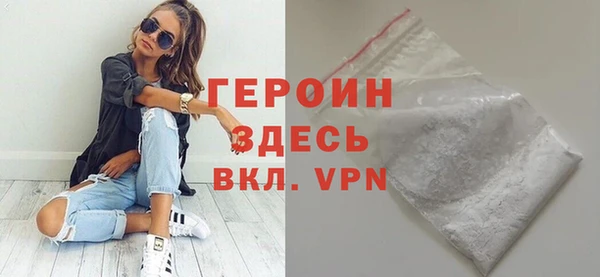 шишки Няндома