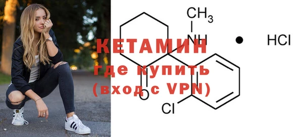 шишки Няндома