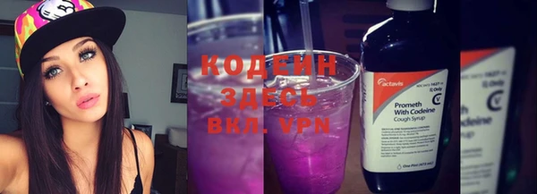 индика Нязепетровск