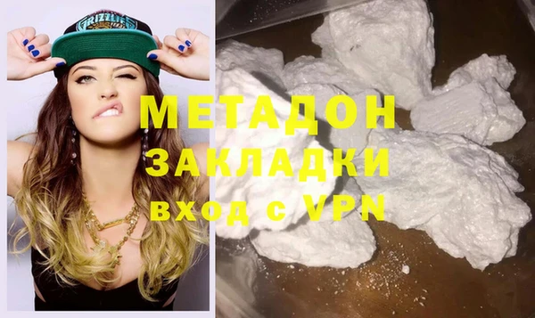 шишки Няндома
