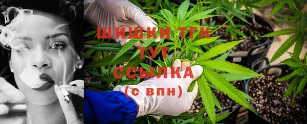 мет Новозыбков