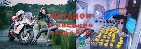 шишки Няндома