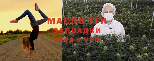 индика Нязепетровск