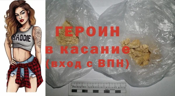 шишки Няндома