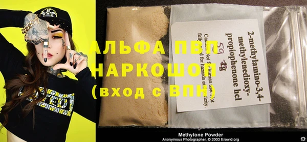 индика Нязепетровск