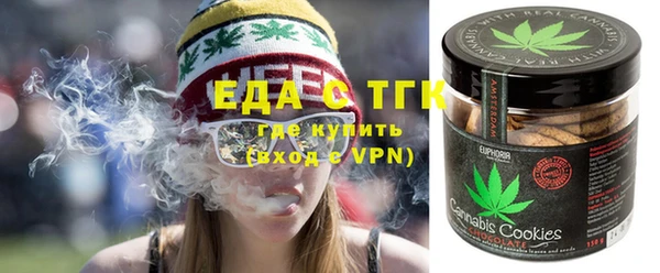 индика Нязепетровск
