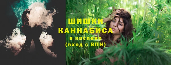 шишки Няндома