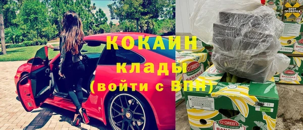 шишки Няндома
