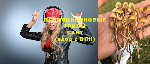 не бодяженный Галич