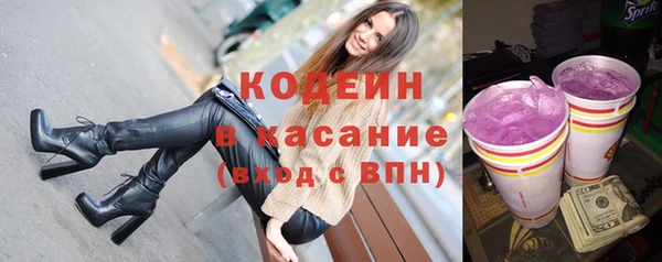 индика Нязепетровск